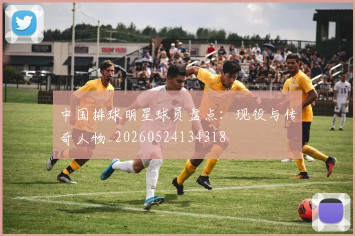 中国排球明星球员盘点:现役与传奇人物_20260524134318