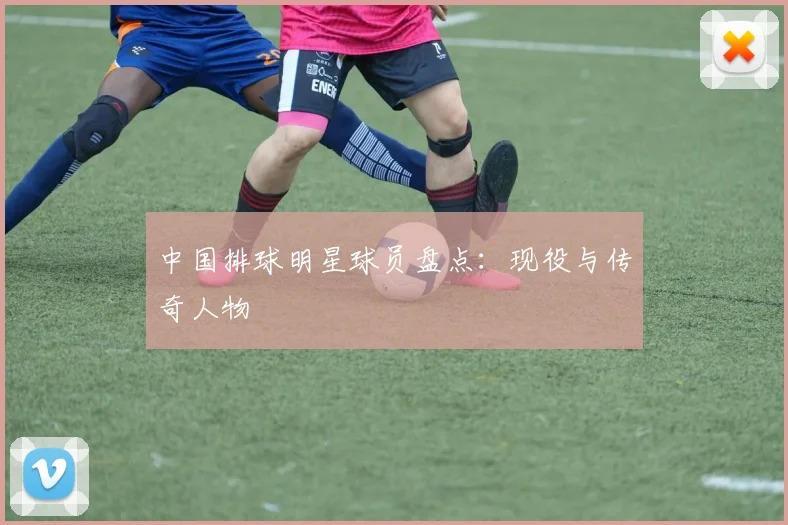 中国排球明星球员盘点:现役与传奇人物