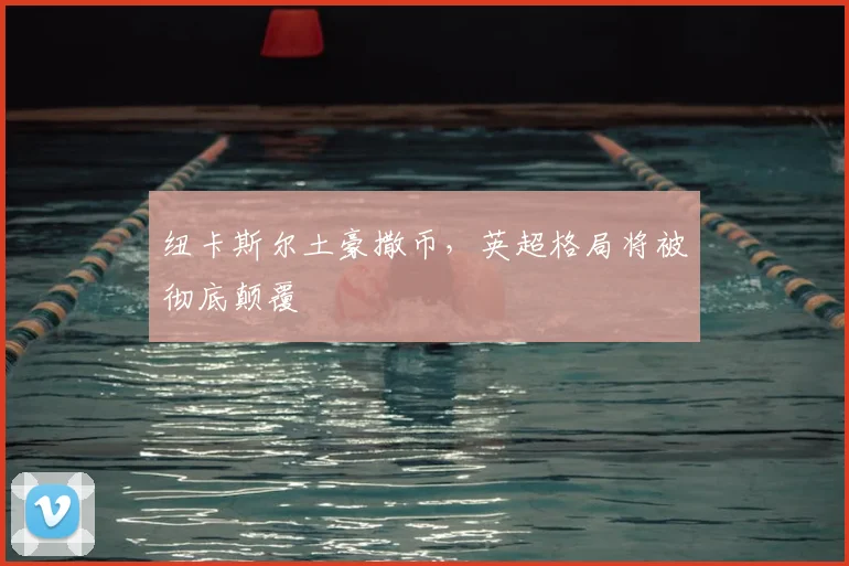 纽卡斯尔土豪撒币,英超格局将被彻底颠覆