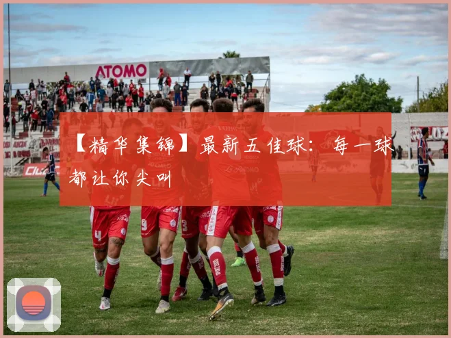 【精华集锦】最新五佳球:每一球都让你尖叫